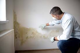 Best Basement Mold Removal in Lincoln University, PA